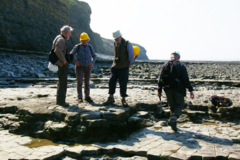 Strata of the Westbury Formation, exposed on the coast at Lilstock